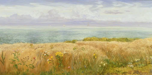 Summer on the Cliffs